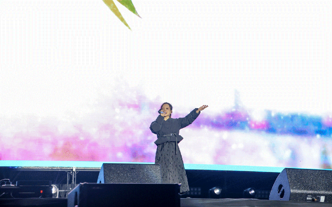 平陽體育中心群星演唱會！超萬人圍觀，現場火爆High唱！