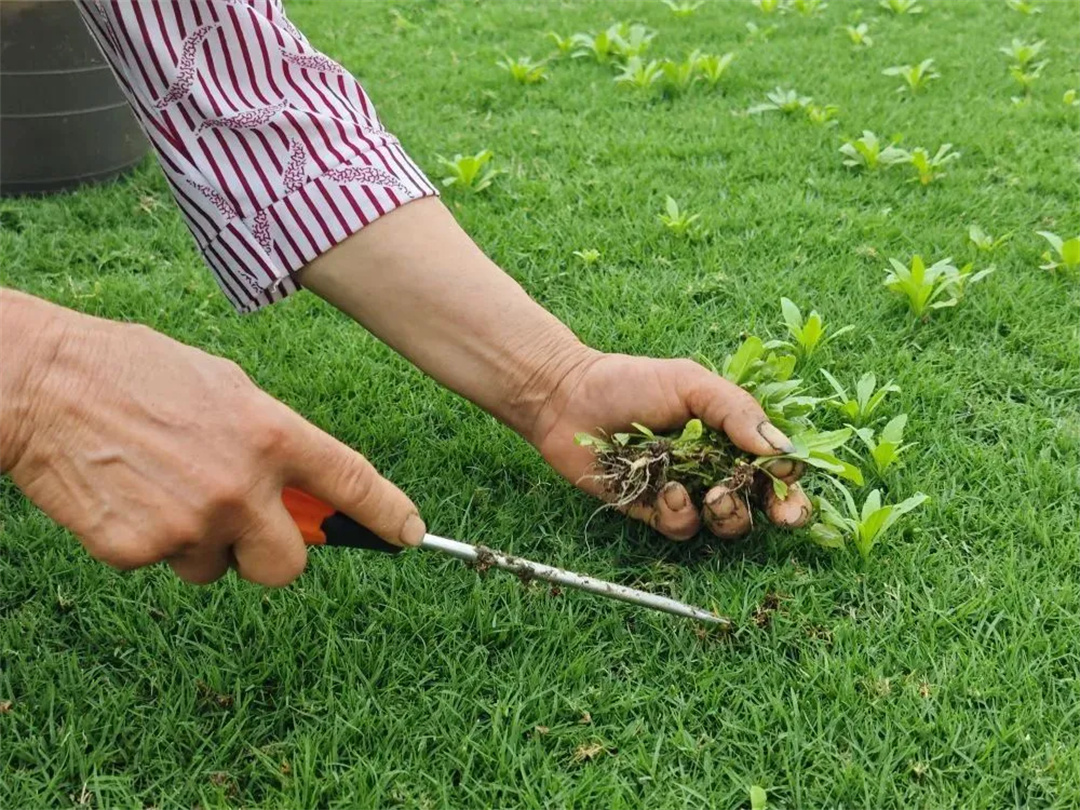 萬豪集團匠心助力，6月齊聚重慶龍興足球場為國足吶喊助威！